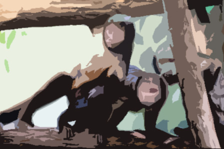 Gelbbrustkapuziner Tierpark Berlin-Friedrichsfelde